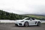Porsche 718 Spyder 2019 года (WW)